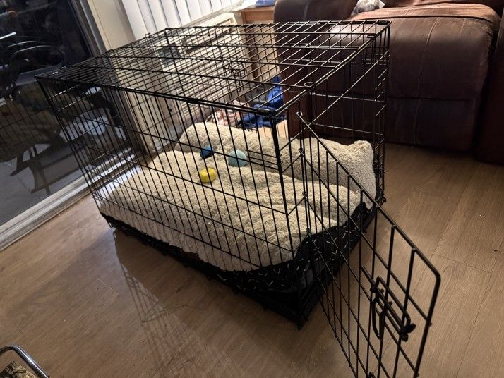 Large dog cage And bedding 
