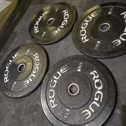 10lb Rogue Bumper Plates--
