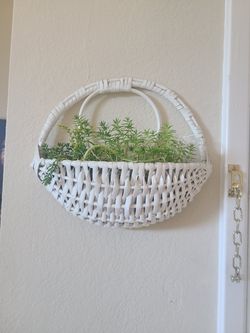 Wicker basket wall decor with sedum succulents