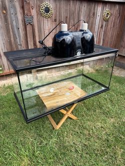 40 Gallon reptile tank with heat/uvb lamp