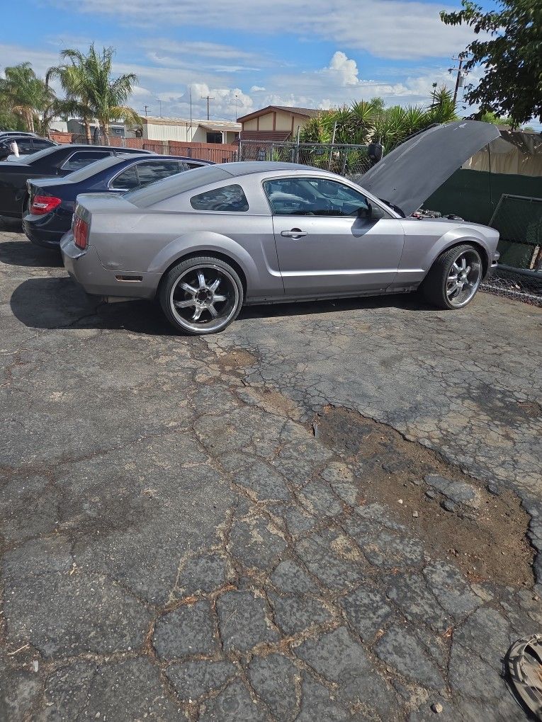 2006 Ford Mustang Stick Shift Runs Great Just Changed The Master Clutch And Cylinder Harmonic Balancer Oil Change Minor Scratches To The Body