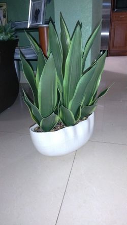 Artificial Sansevieria with Vase