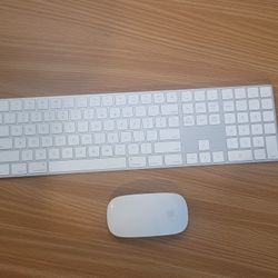 Apple Wireless Keyboard A1843 with Magic Mouse A1657 - White