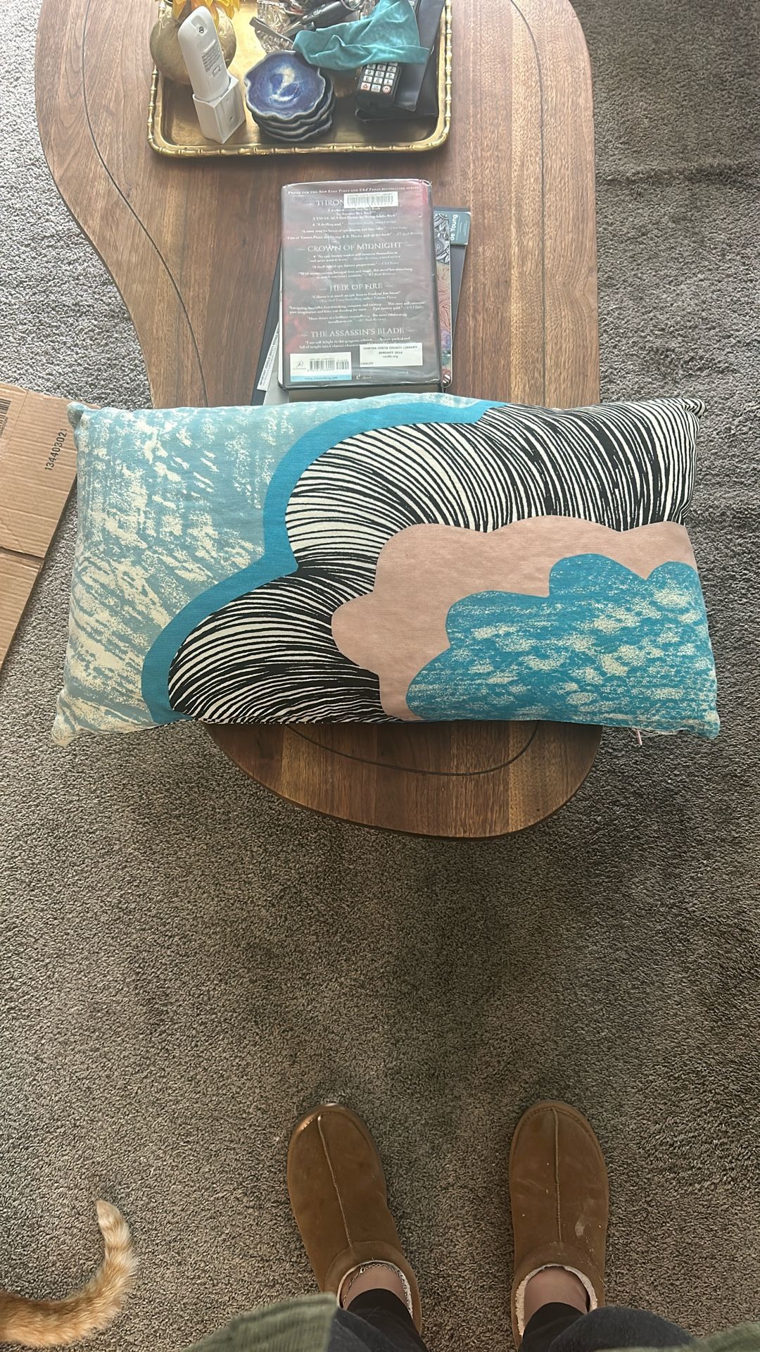 Pillow Colorful