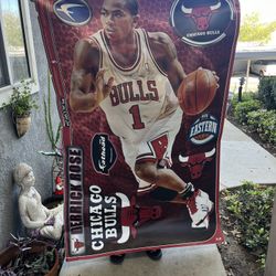 derrick rose poster 