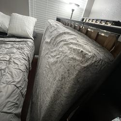 Bed + Queen Frame 