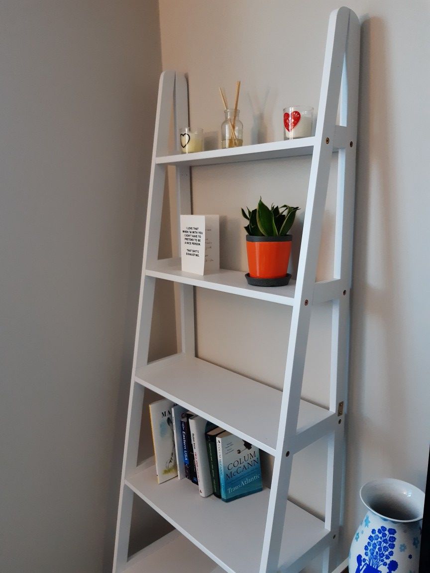 Ladder bookshelf/stand