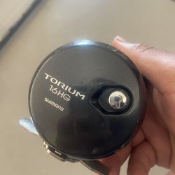 Torium 16HG /Avet Sx/phenix Axis