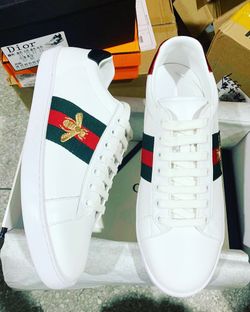 Fresh low top sneakers