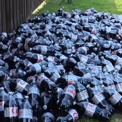 14,287 Bottles Of Diet Coke (Neogotiate Price)