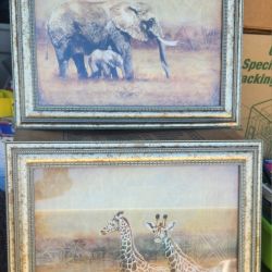 2 African Plains Elephants and Giraffes Gold Framed Prints 17" × 14" Nice Condition