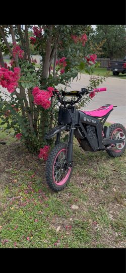 Pink Tuttio solei 01