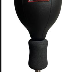 Punching Bag Ringside 