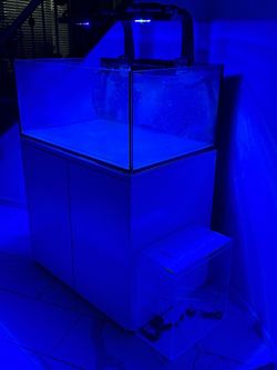 70gal aqua Japan saltwater tank
