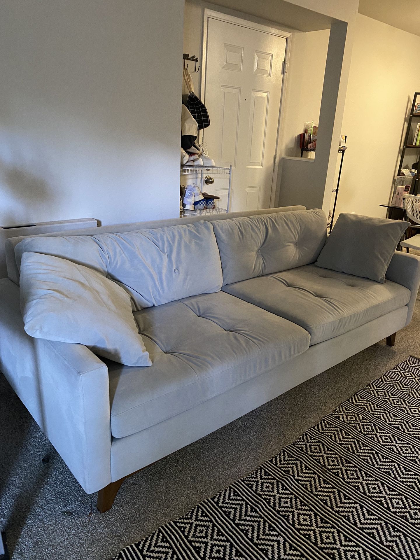 Light Grey Couch