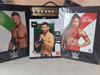 WWE/UFC posters 😍