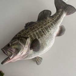 27" Largemouth Bass replica by Broadside Taxidermy