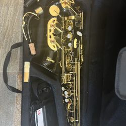 Black Alto Saxophone 🎷, New