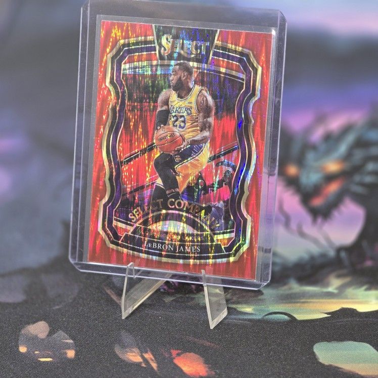 2 Panini Lebrons 