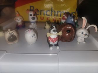 Secret life of pets