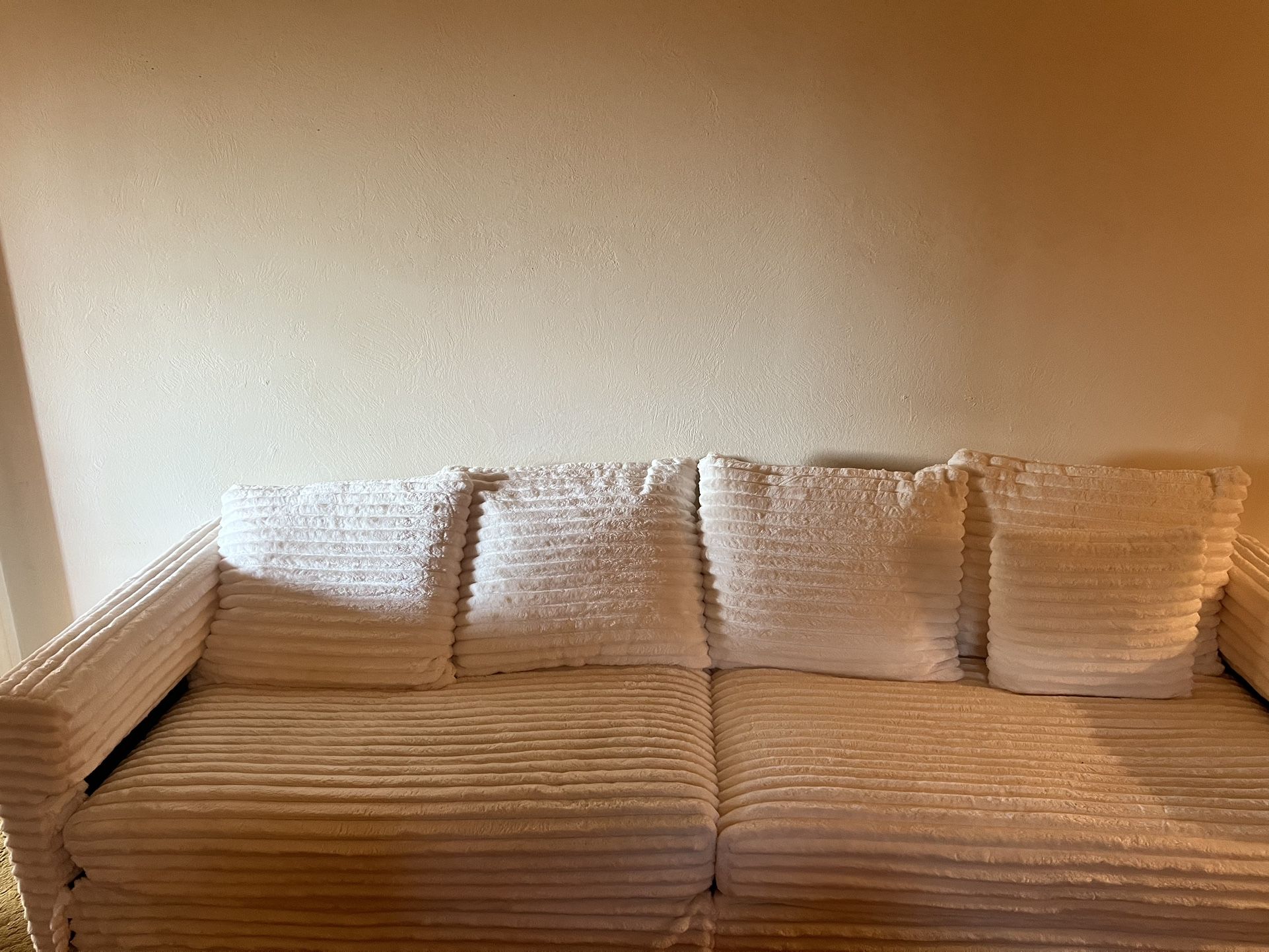 Brand New Couch A Week Old