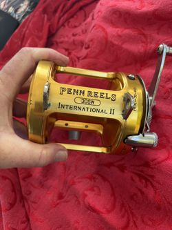 Penn 30SW 2 Speed Fishing Reel