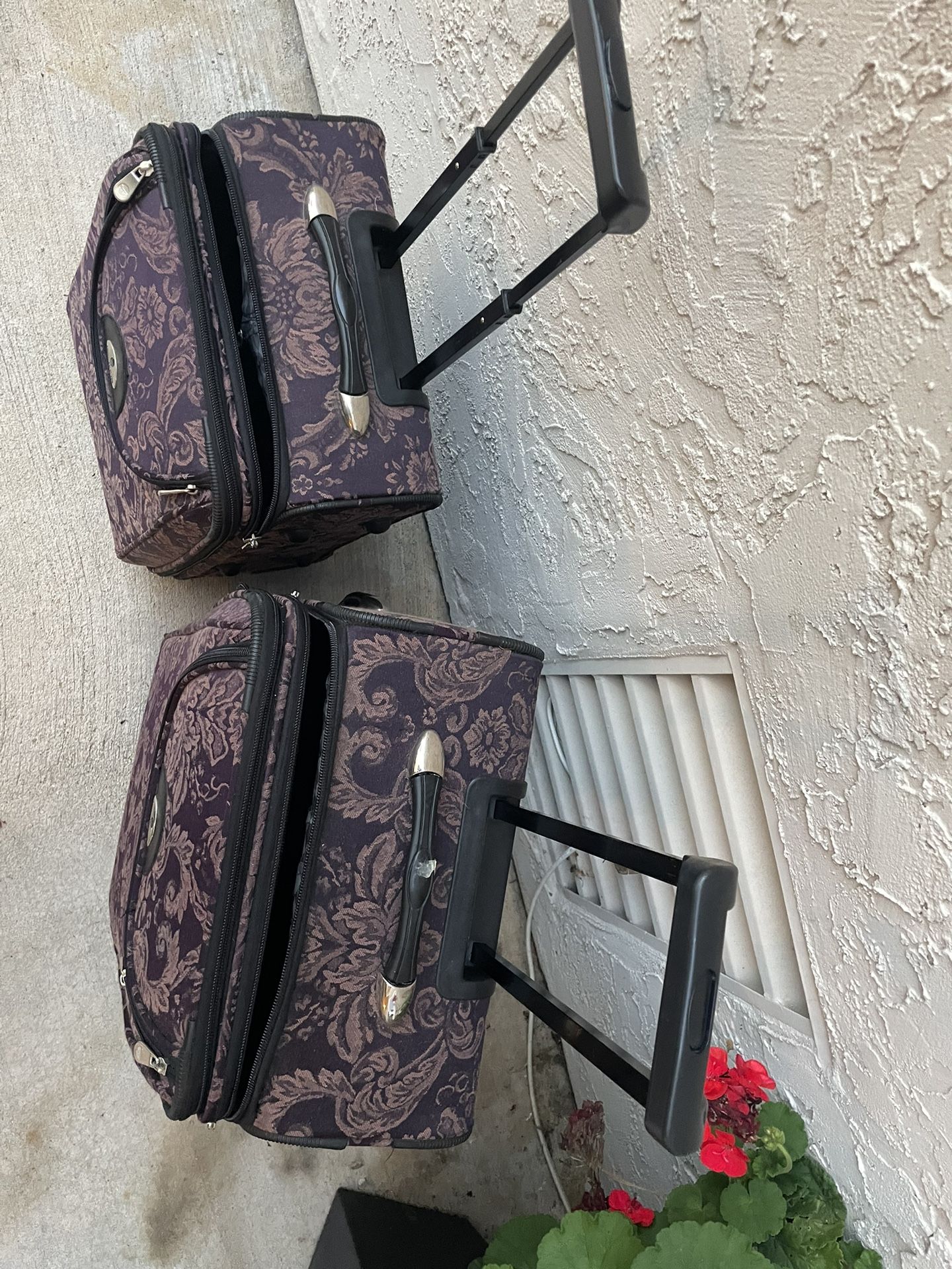 2 Piece Luggage Set