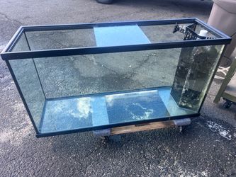 75 gallon saltwater reef tank stand and sump
