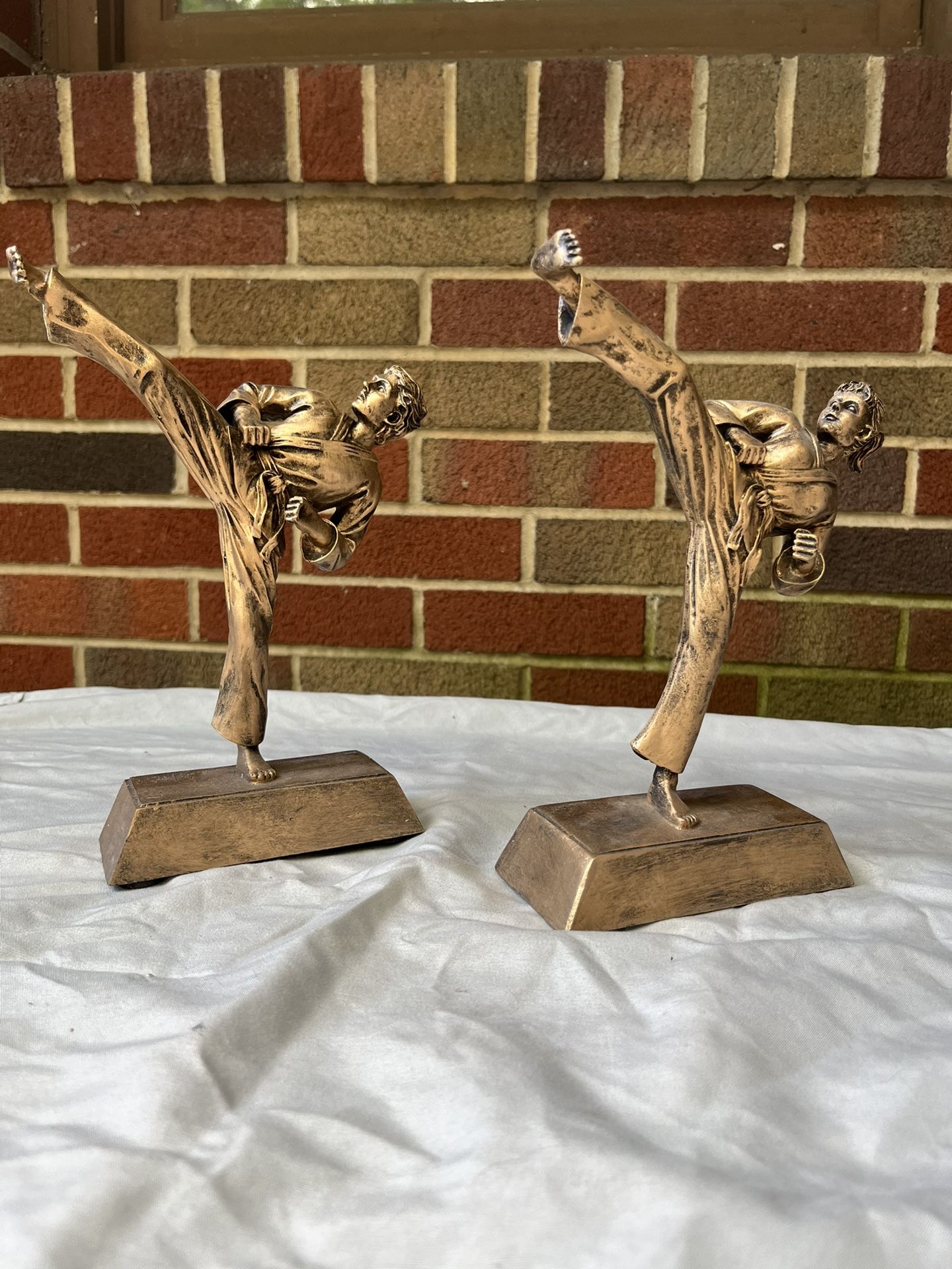 8.5” Karate Awards (Male and Female)
