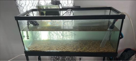75 gallon and stand