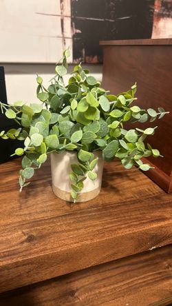 Decorative Artificial Plant