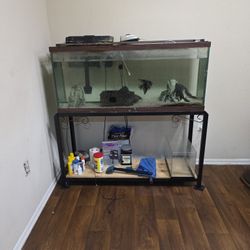 Fish Tank / Aquarium 