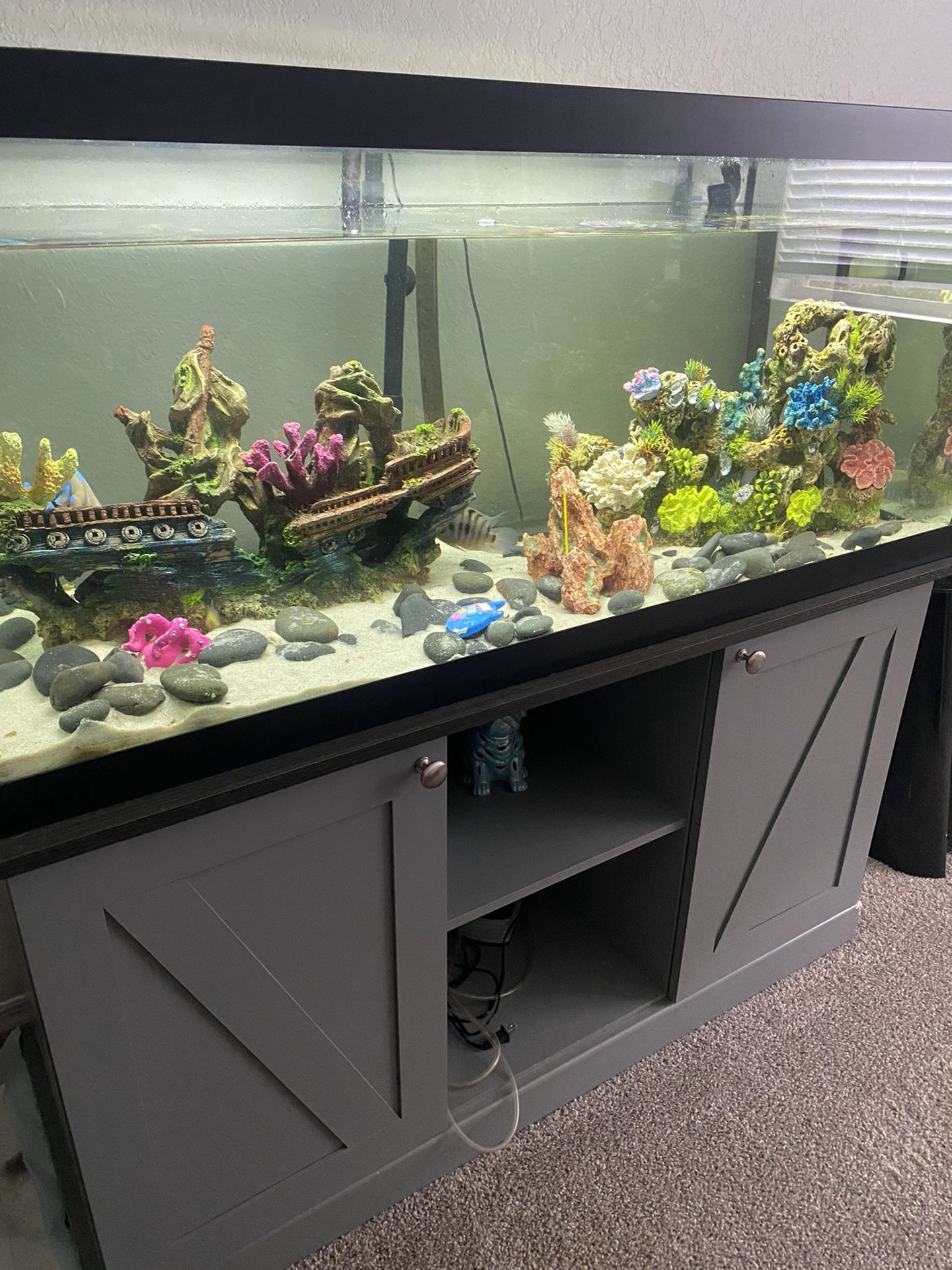 75 Gallon Fish Tank And Stand For Sell 