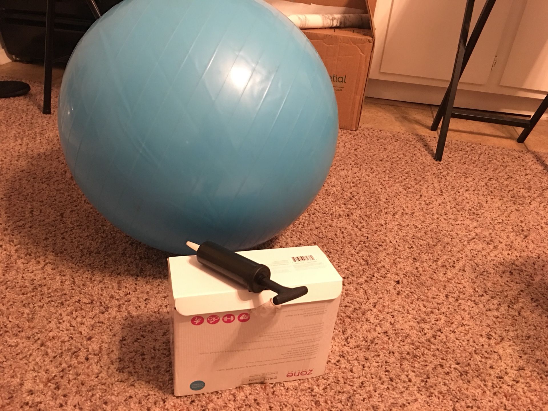 Exercise ball with pump