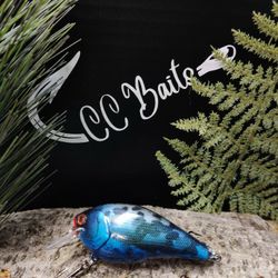 Swimbaits,Glide Bait's,Crank Baits,Spooks, Pencil Popper 