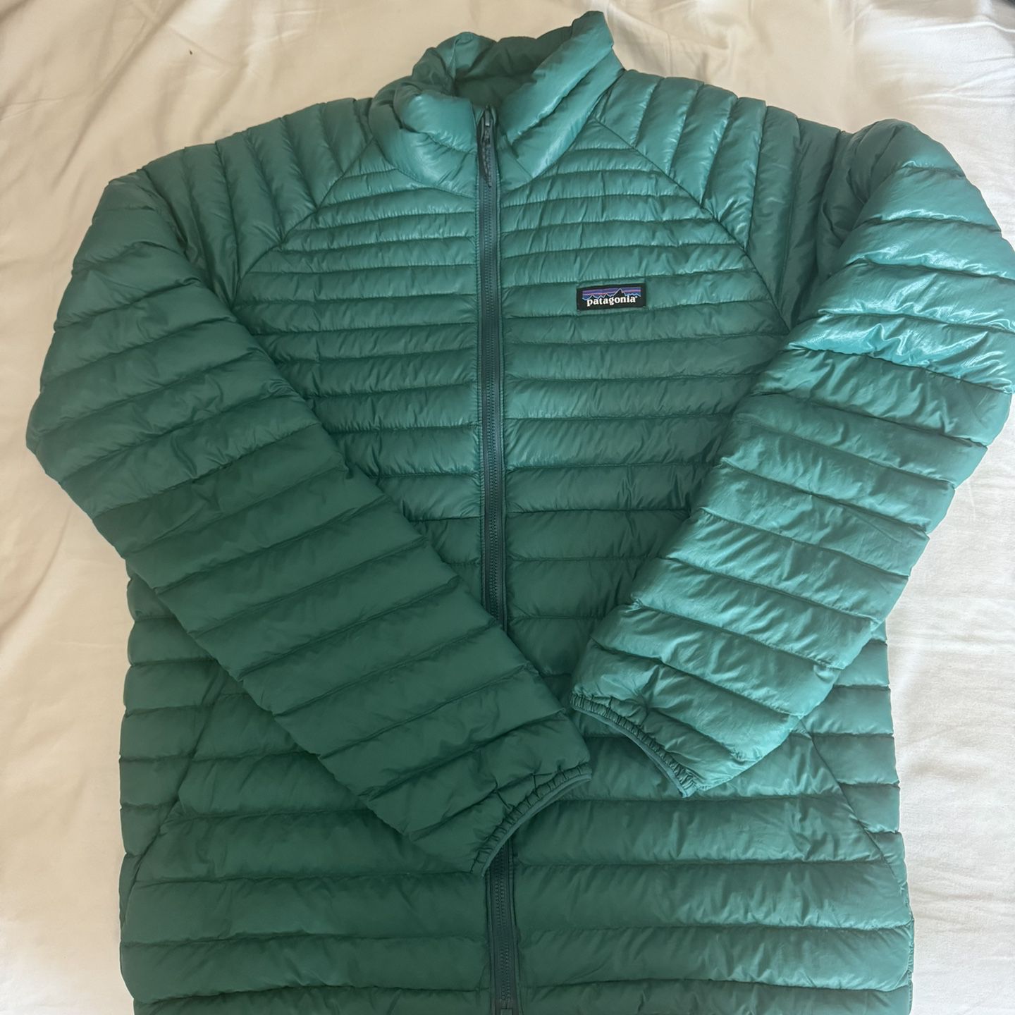 Patagonia Men's Alplight Down Jacket Puff Borealis Green Netplus M NWT
