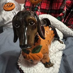 Blue Sky Clayworks Halloween Dachshund In Pumpkin Sweater By Heather Goldminc