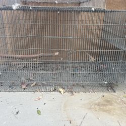 Large Bird Cage