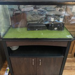 Reptile Bearded Dragon 40gallon Enclosure With Stand