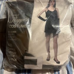 Woman’s Flapper costume