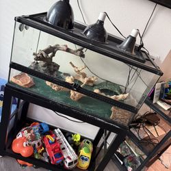 Reptile Terrarium Large And Everything Included  