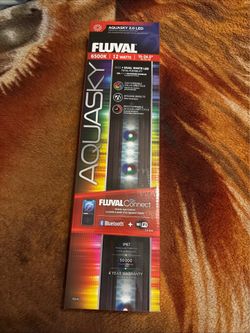 Fluval 6500k Aquarium