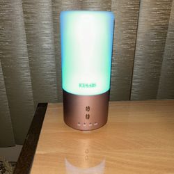Ice Labs Essential Oil Diffuser 
