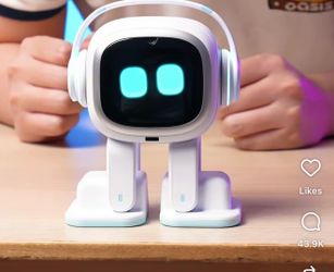 Emo robot pet