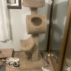 cat tree