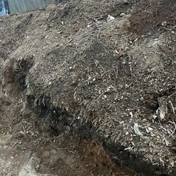 Free Soil