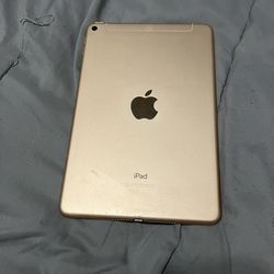 iPad Mini 5 Unlocked 256GB