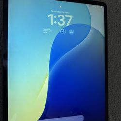 Ipad Pro 12.9 1 TB Cellular