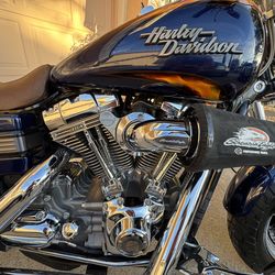 2010 Harley Davidson  CVO Fat Bob