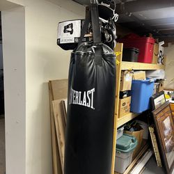 Everlasting Punching Bag And Gloves